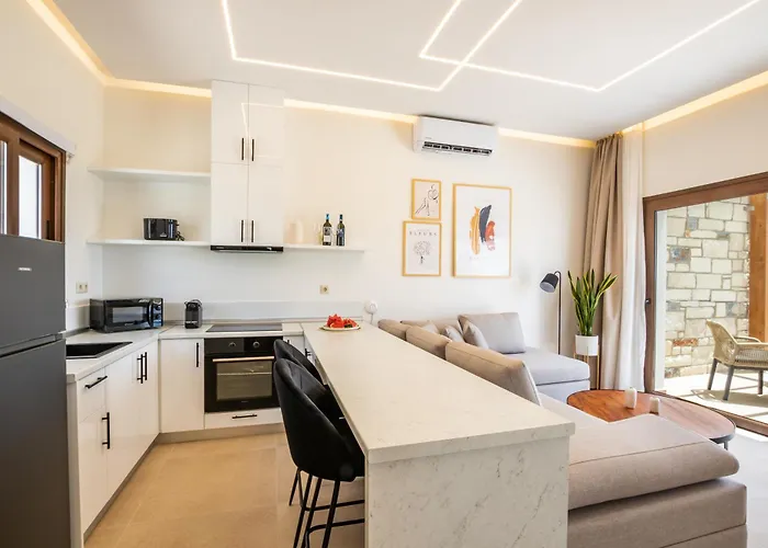 Villa Elite Luxury Afiartis