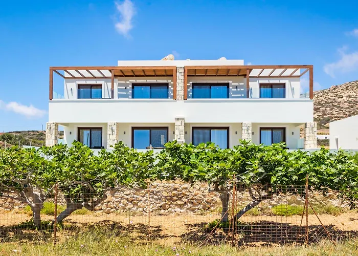 Elite Luxury * Afiartis